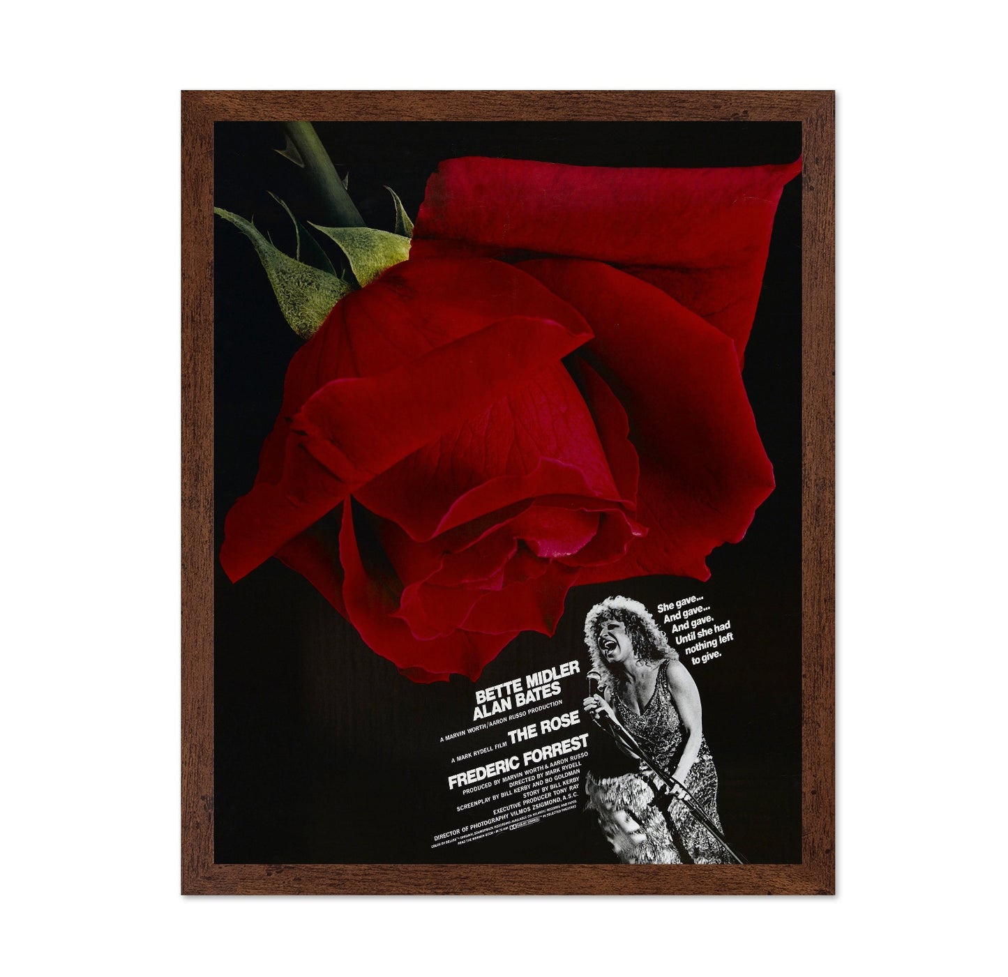 The Rose 1979
