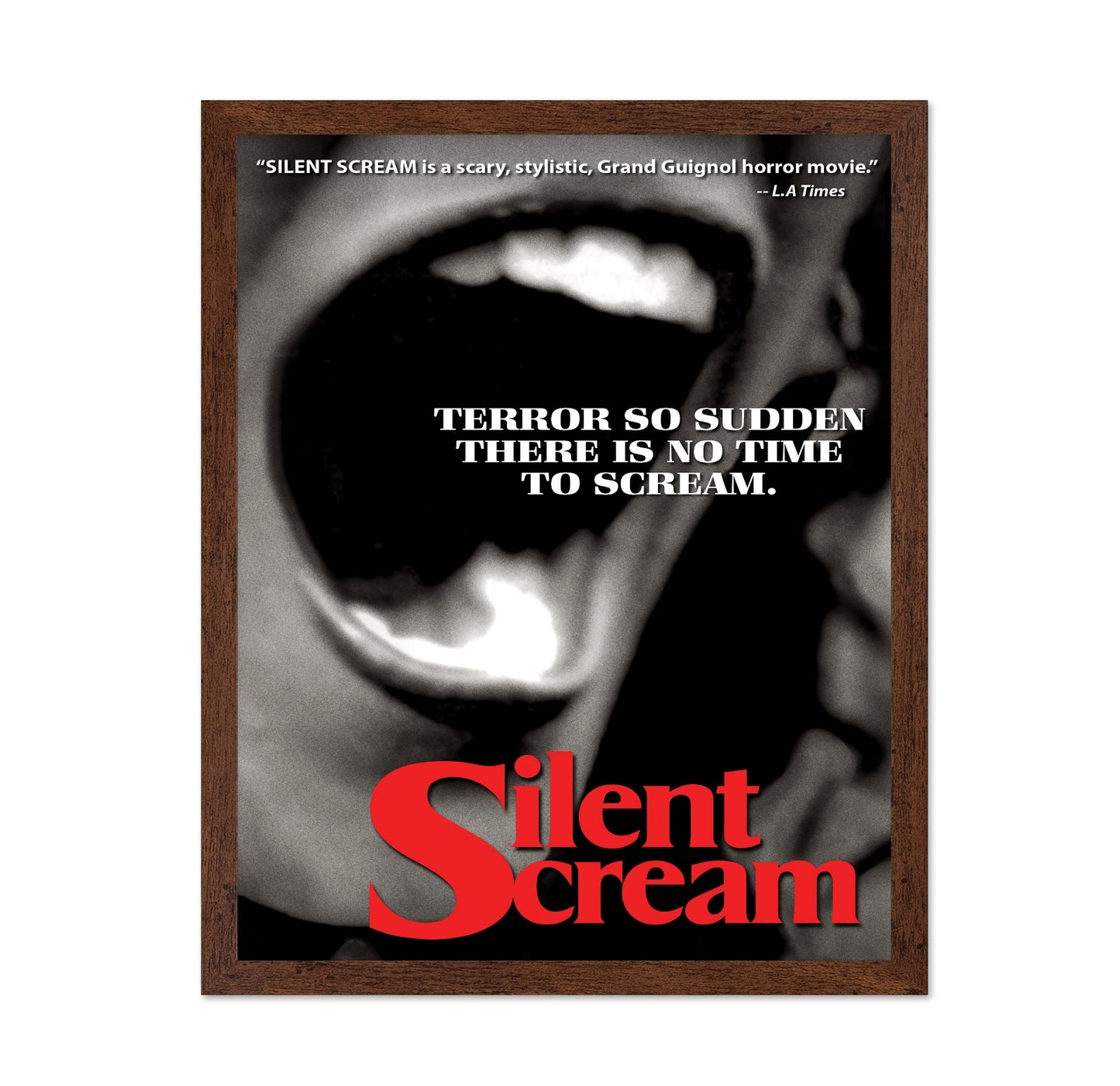 Silent Scream 1979