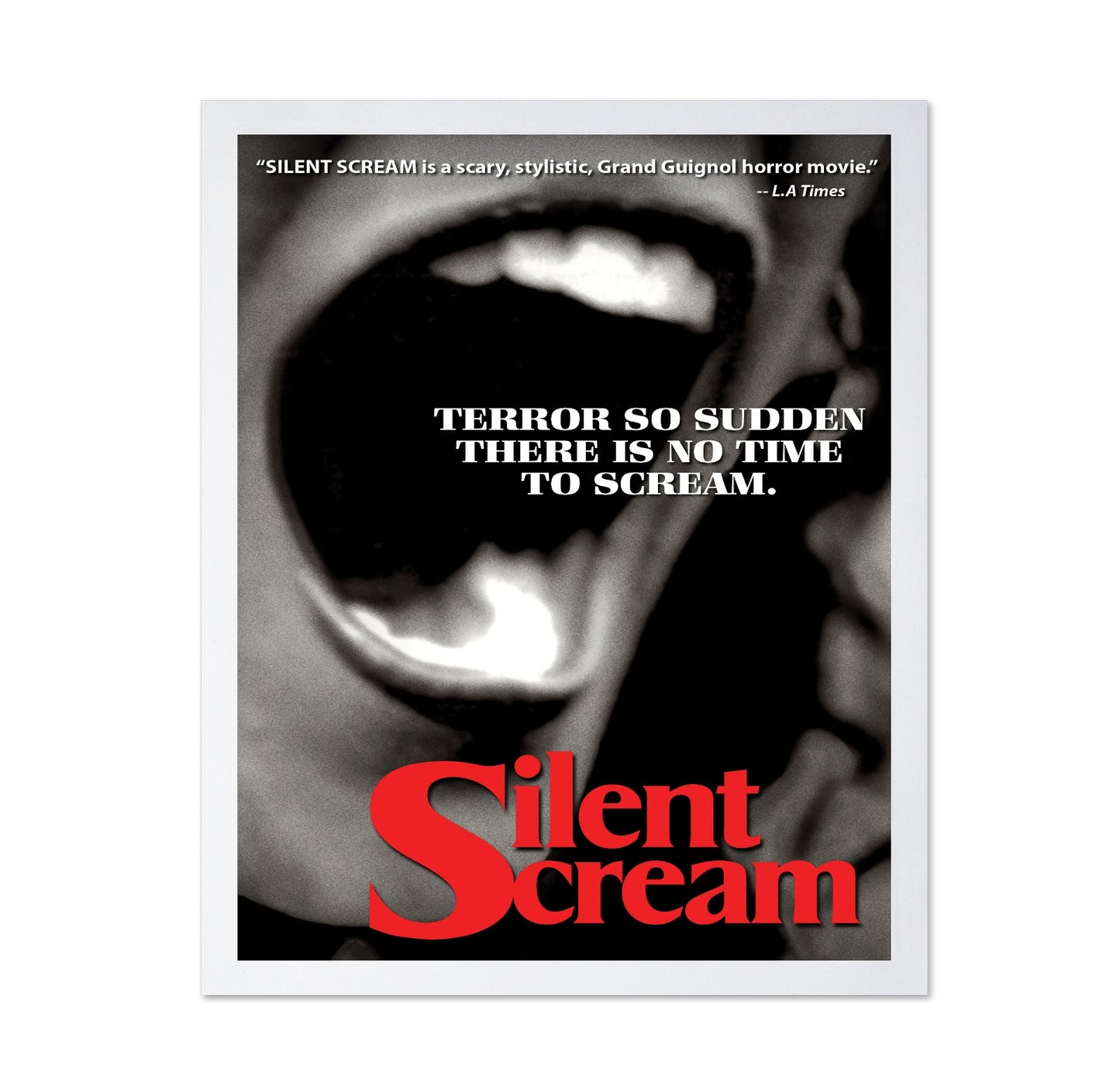 Silent Scream 1979