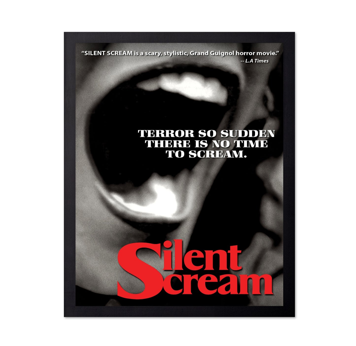 Silent Scream 1979