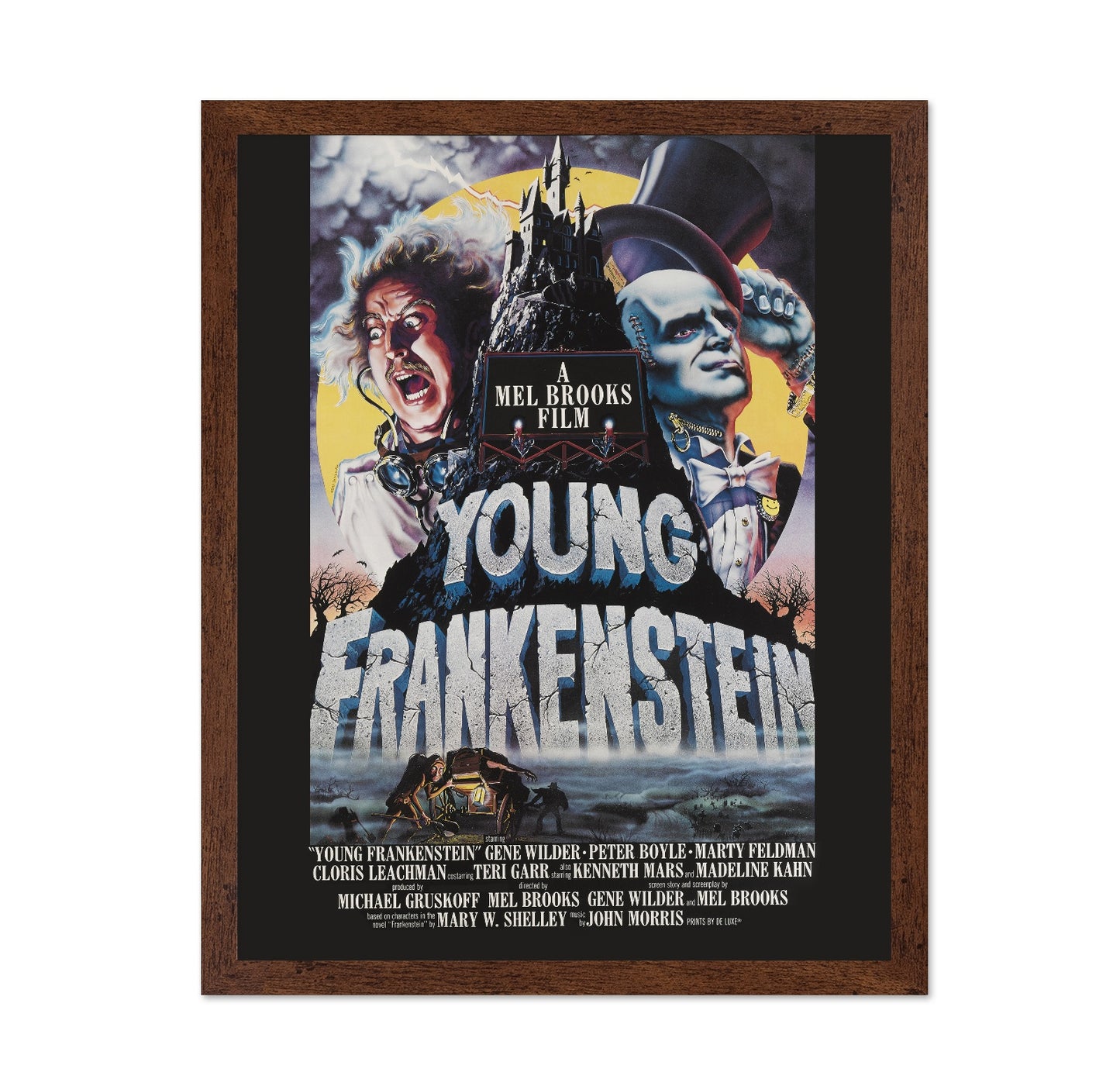 Young Frankenstein 1974
