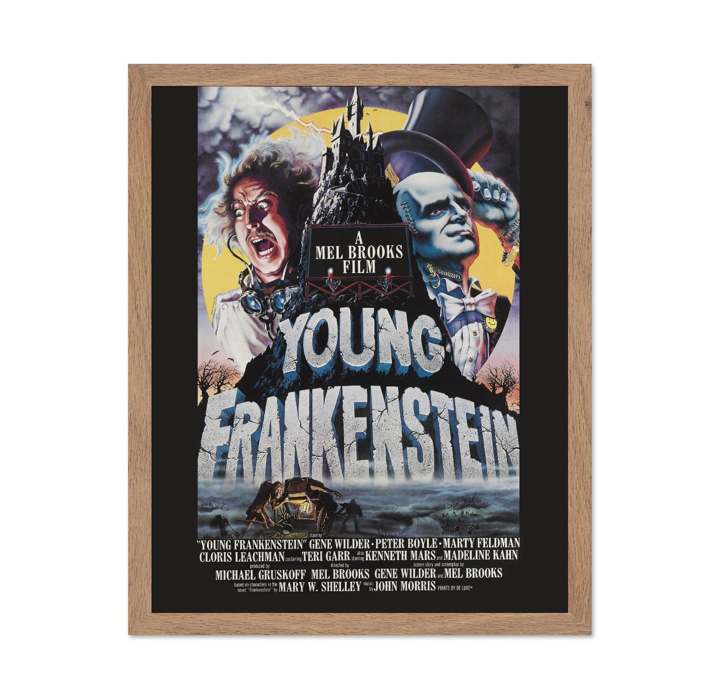 Young Frankenstein 1974