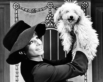 Funny Girl 1964 Barbra Streisand No1