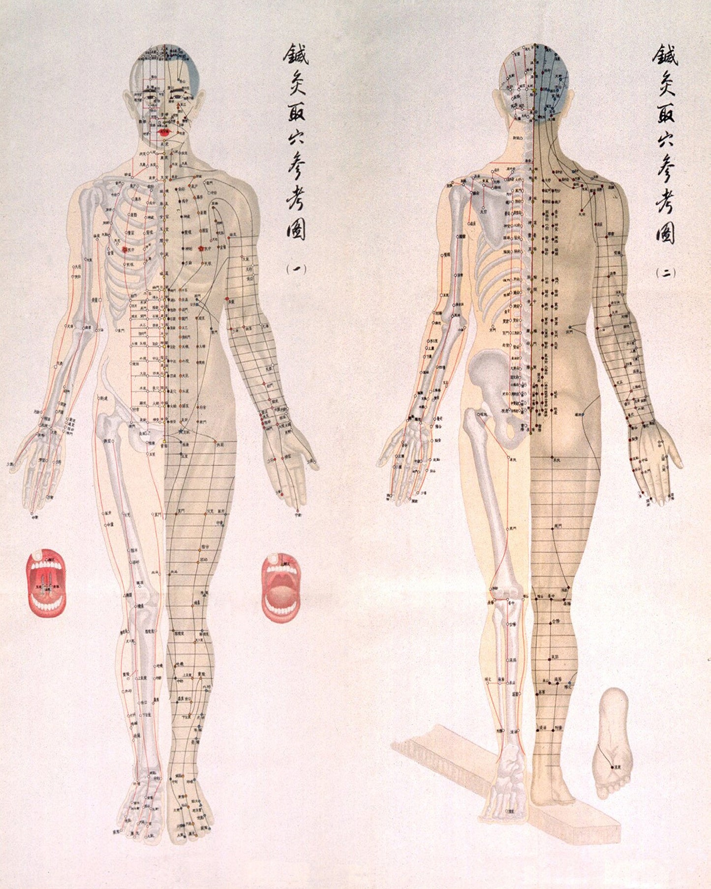 Acupuncture Chart 1956