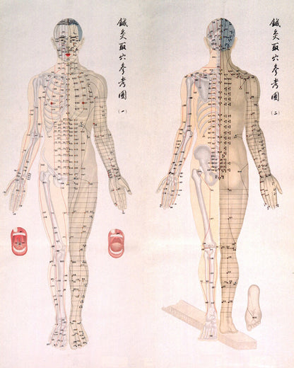 Acupuncture Chart 1956