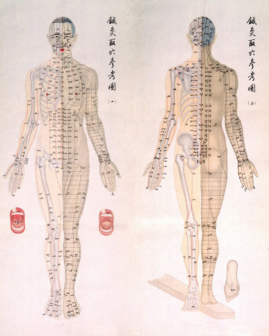Acupuncture Chart 1956