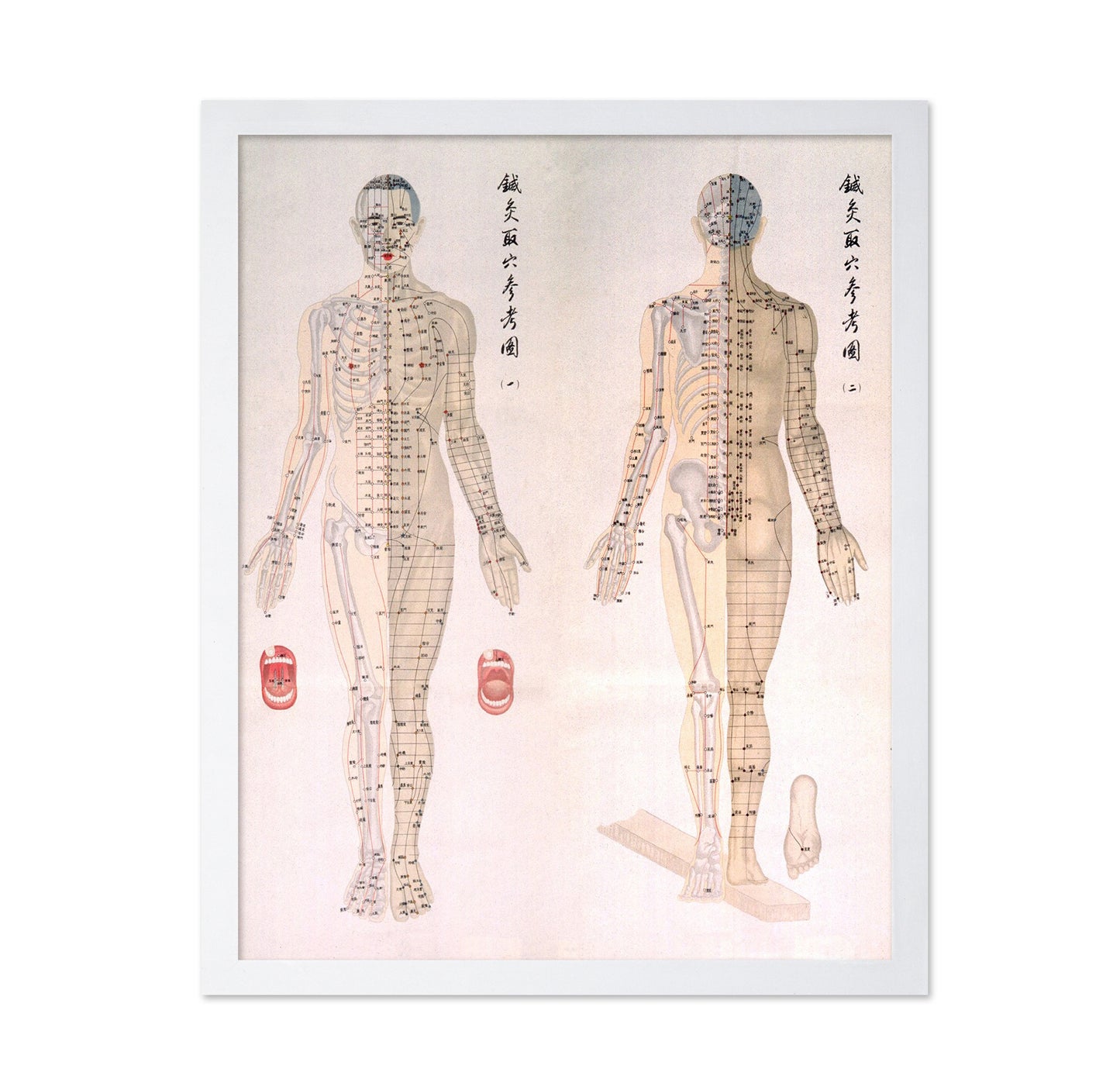 Acupuncture Chart 1956