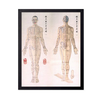 Acupuncture Chart 1956