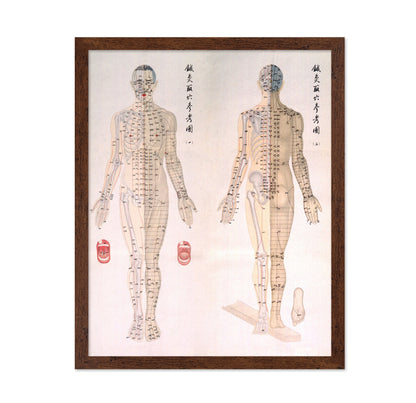 Acupuncture Chart 1956
