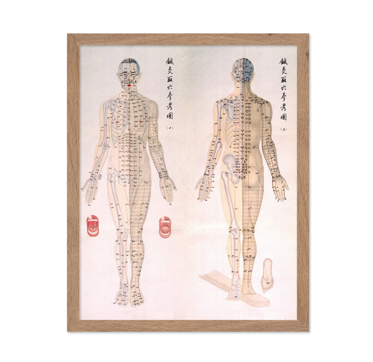 Acupuncture Chart 1956