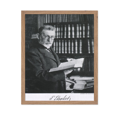 Paul Ehrlich 1910