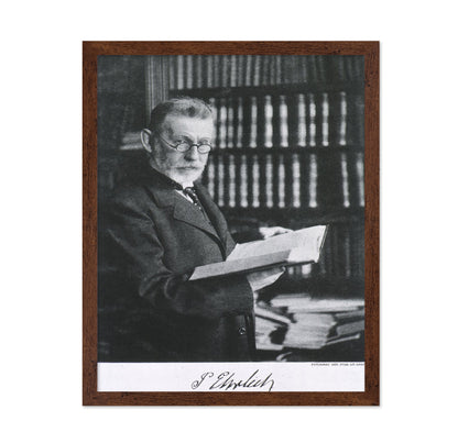 Paul Ehrlich 1910
