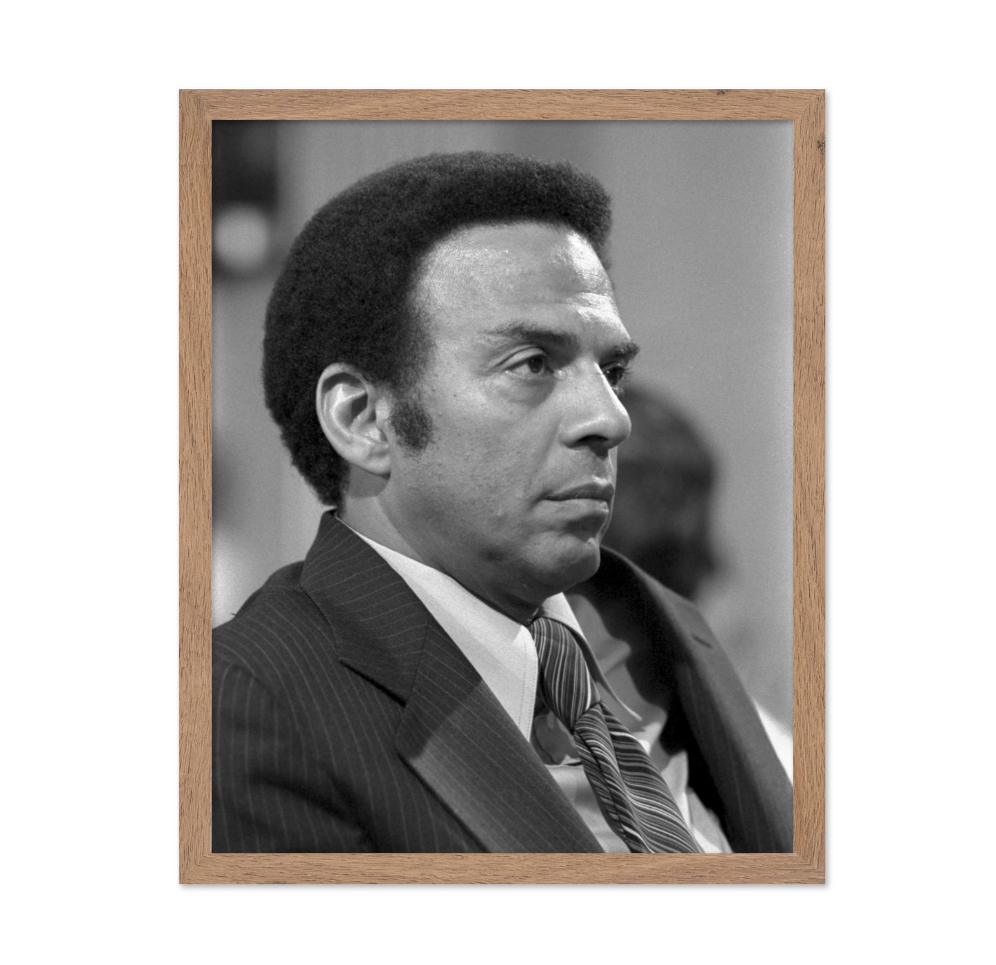 Andrew Young UN Ambassador 1977