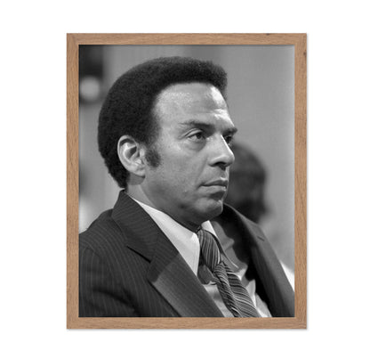 Andrew Young UN Ambassador 1977