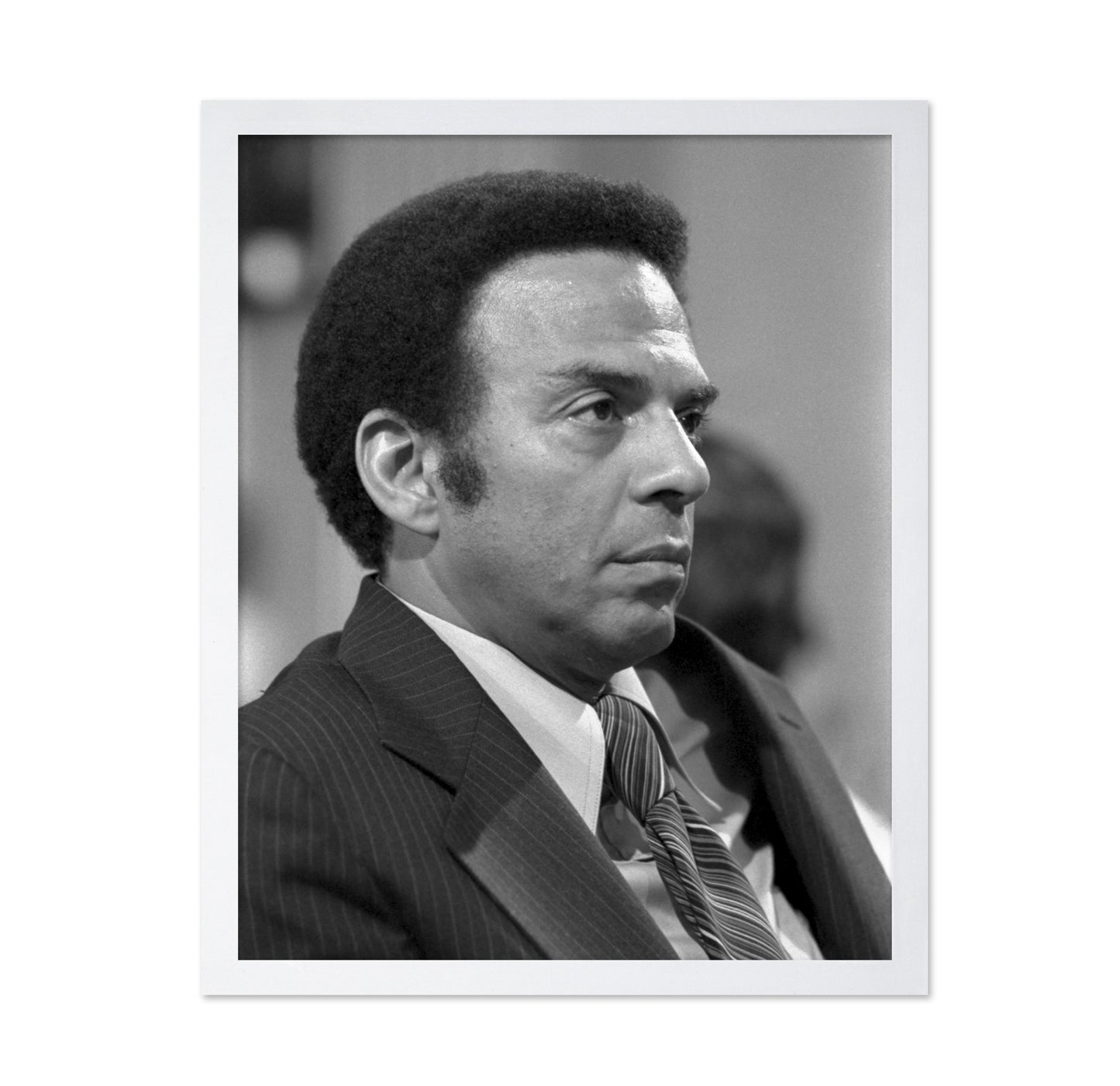 Andrew Young UN Ambassador 1977