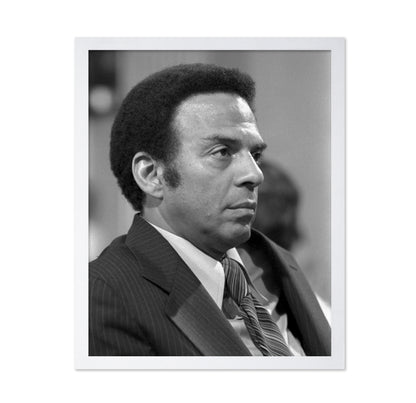 Andrew Young UN Ambassador 1977