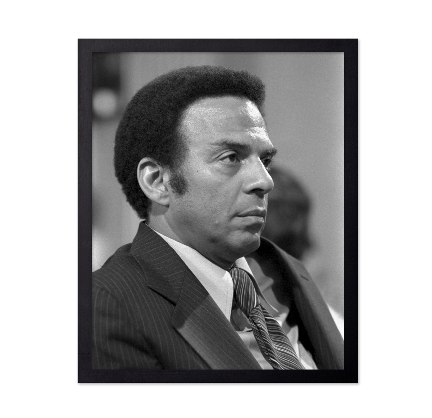 Andrew Young UN Ambassador 1977