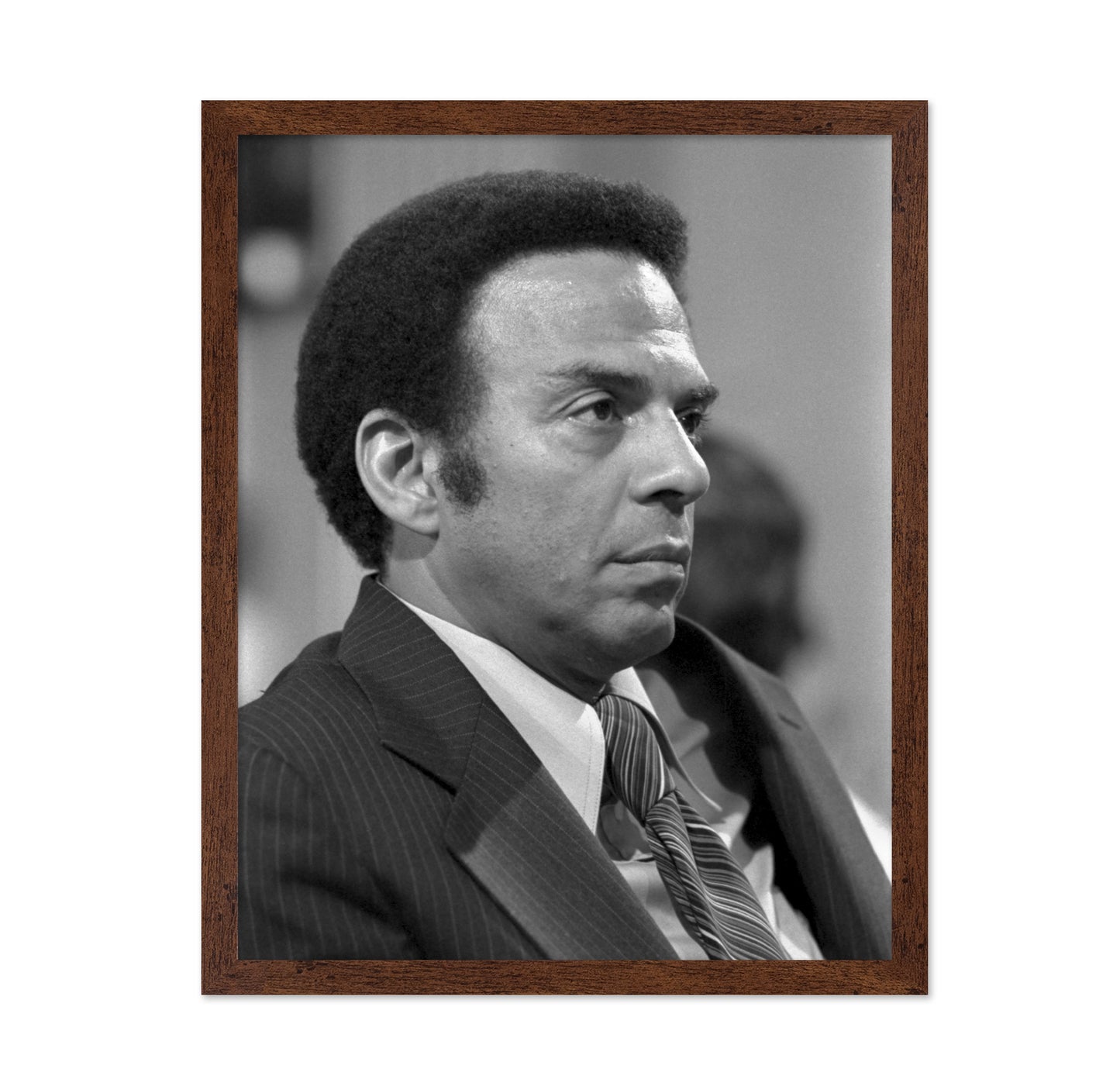 Andrew Young UN Ambassador 1977