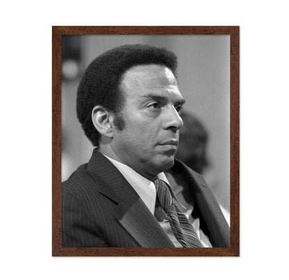 Andrew Young UN Ambassador 1977