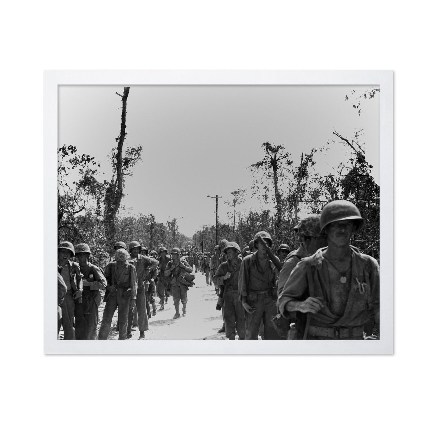 Peleliu Island 1944