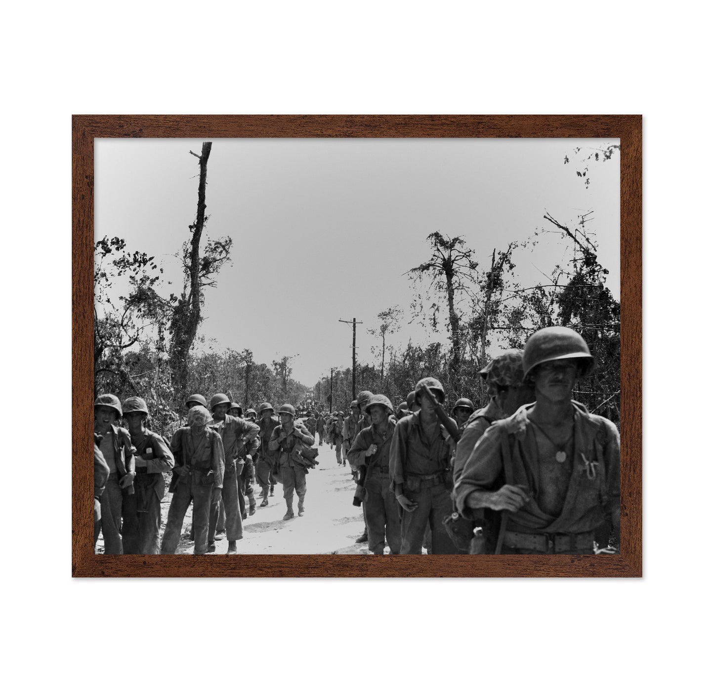 Peleliu Island 1944