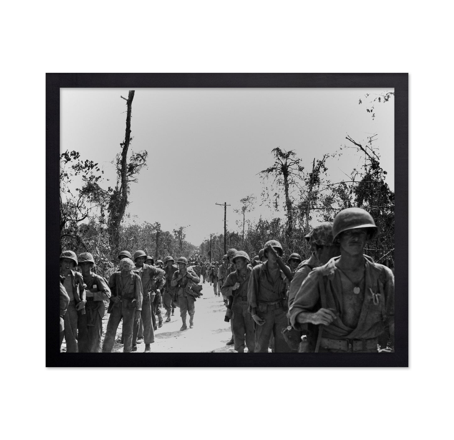 Peleliu Island 1944