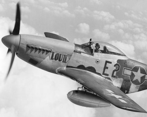 P51 Mustang Fighter 1942