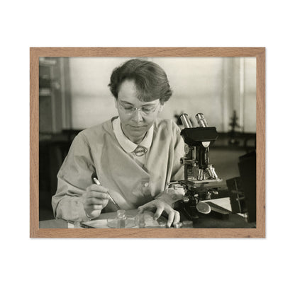 Barbara Mcclintock 1947