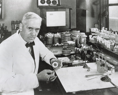 Alexander Fleming 1928