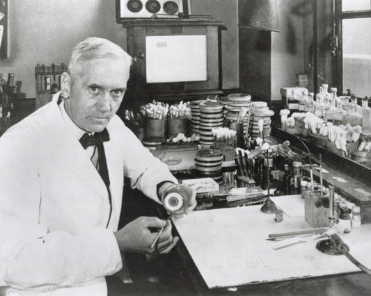 Alexander Fleming 1928