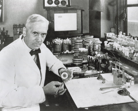 Alexander Fleming 1928