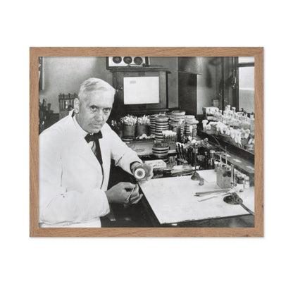 Alexander Fleming 1928