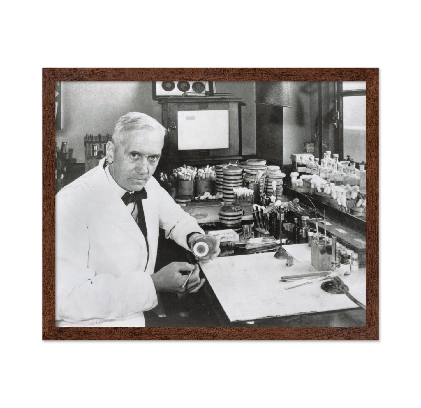 Alexander Fleming 1928