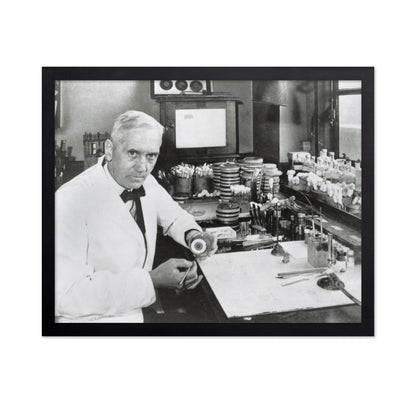 Alexander Fleming 1928