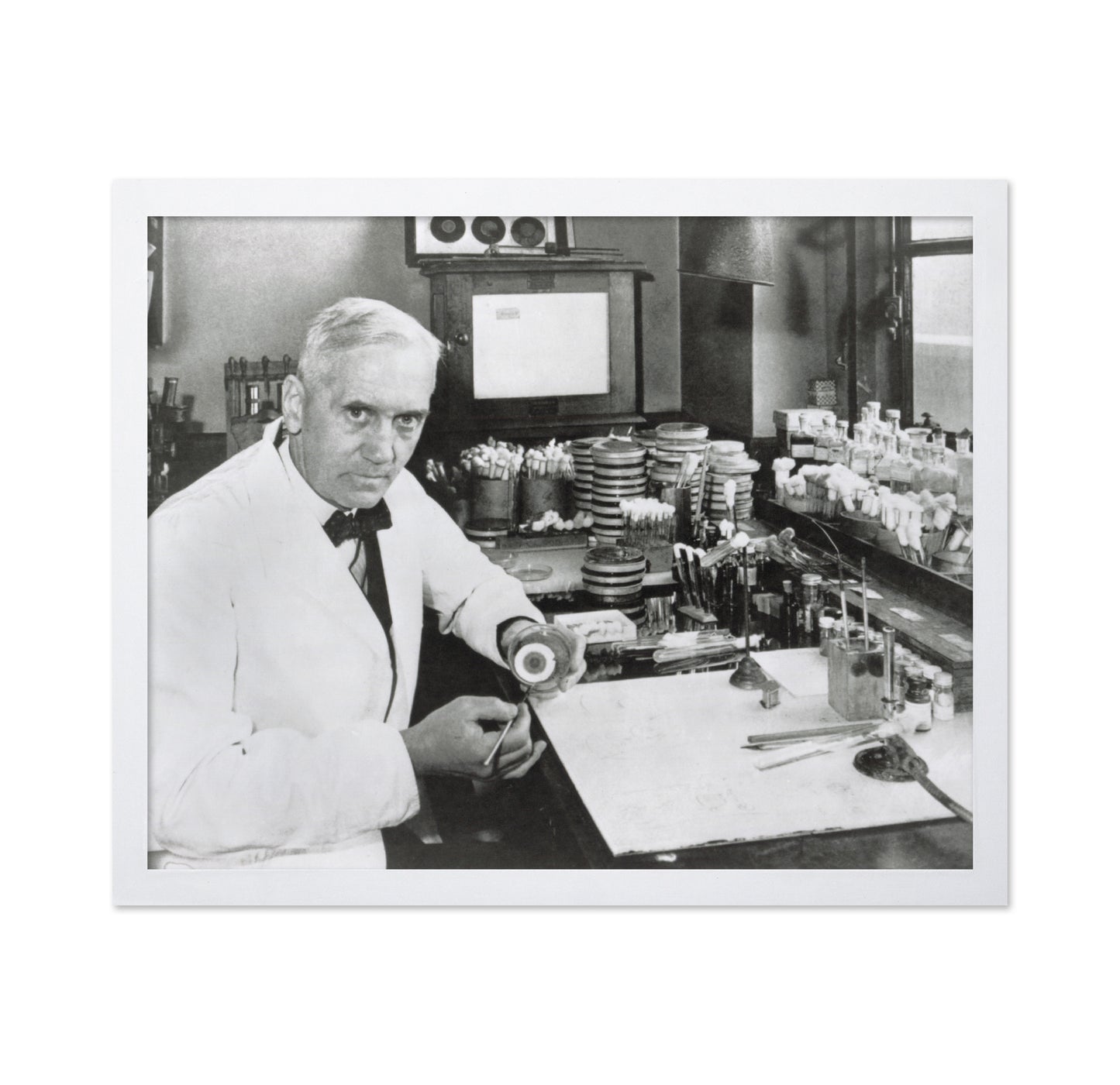 Alexander Fleming 1928