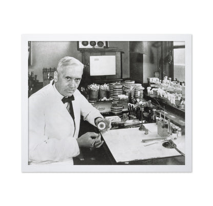 Alexander Fleming 1928