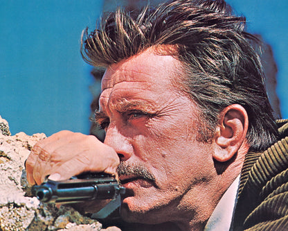 The Brotherhood 1968 Kirk Douglas No2