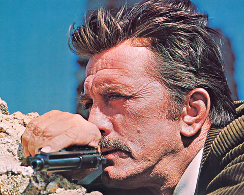 The Brotherhood 1968 Kirk Douglas No2