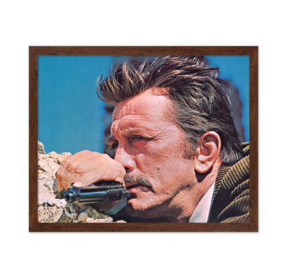 The Brotherhood 1968 Kirk Douglas No2