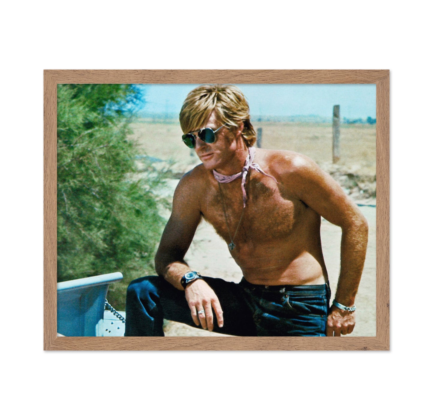 Little Fauss and Big Halsy 1970 Robert Redford