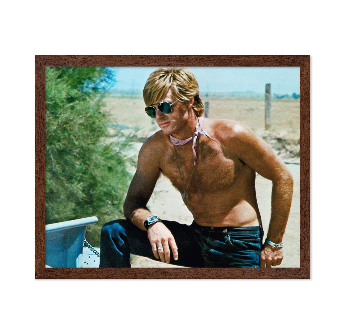 Little Fauss and Big Halsy 1970 Robert Redford
