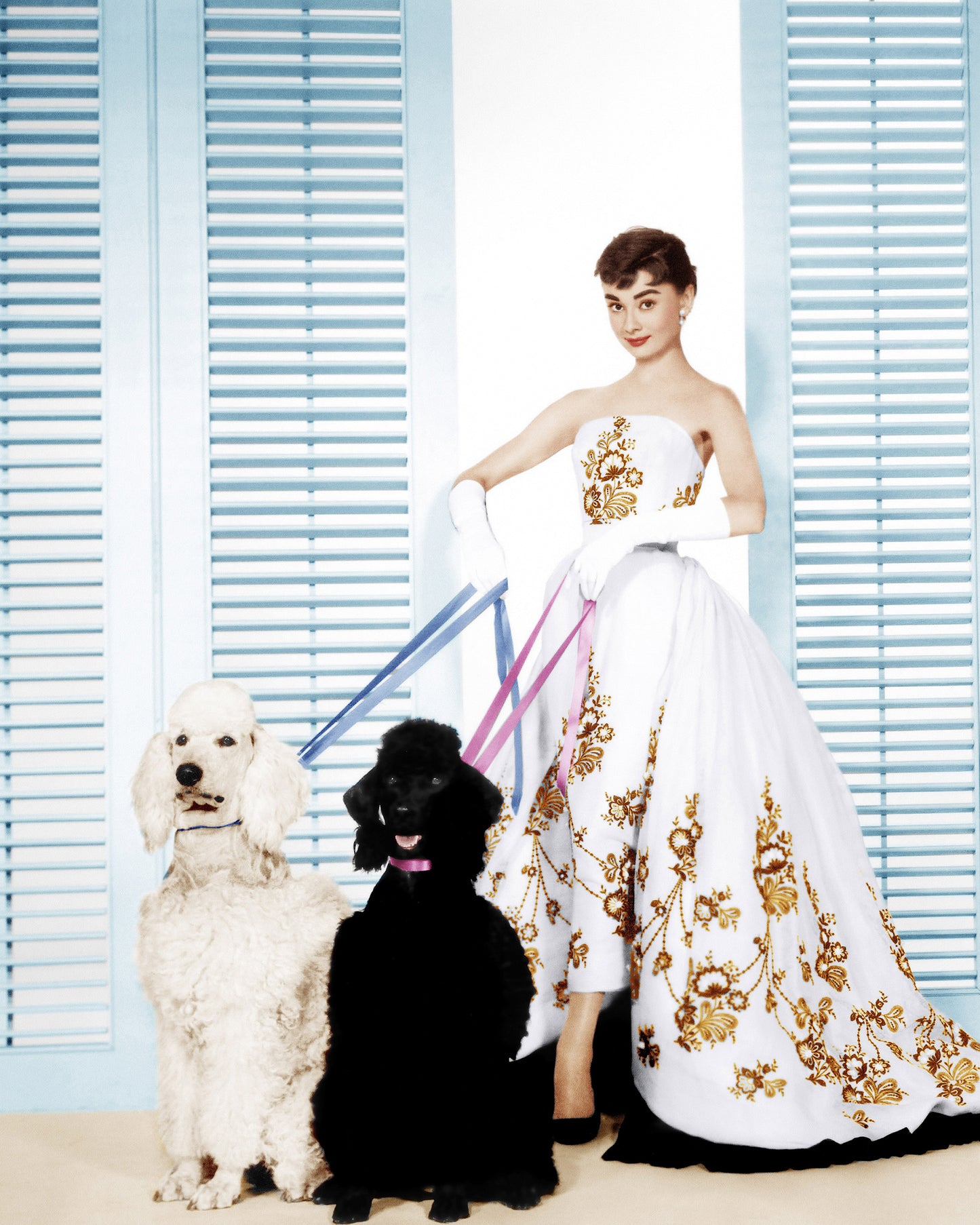 Sabrina 1954 Audrey Hepburn No4