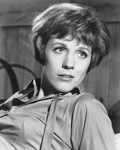 The Americanization of Emily 1964 Julie Andrews No2