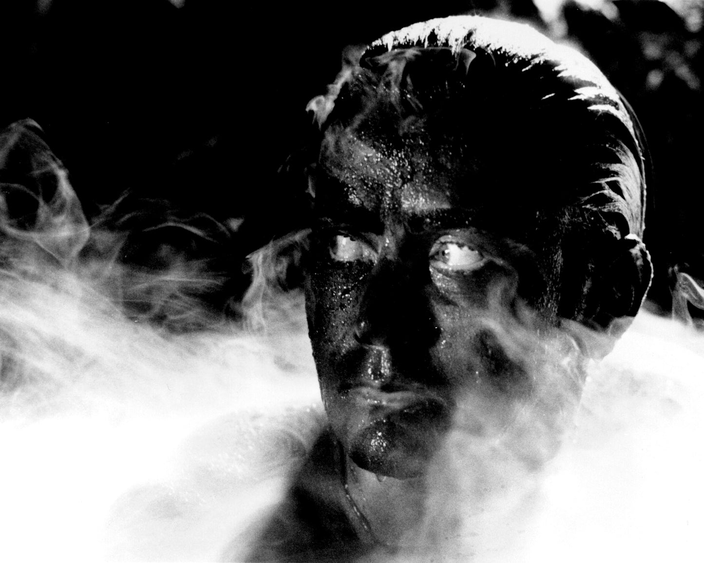 Apocalypse Now 1979 Martin Sheen No1