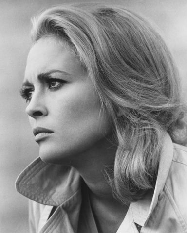 The Arrangement 1969 Faye Dunaway No2