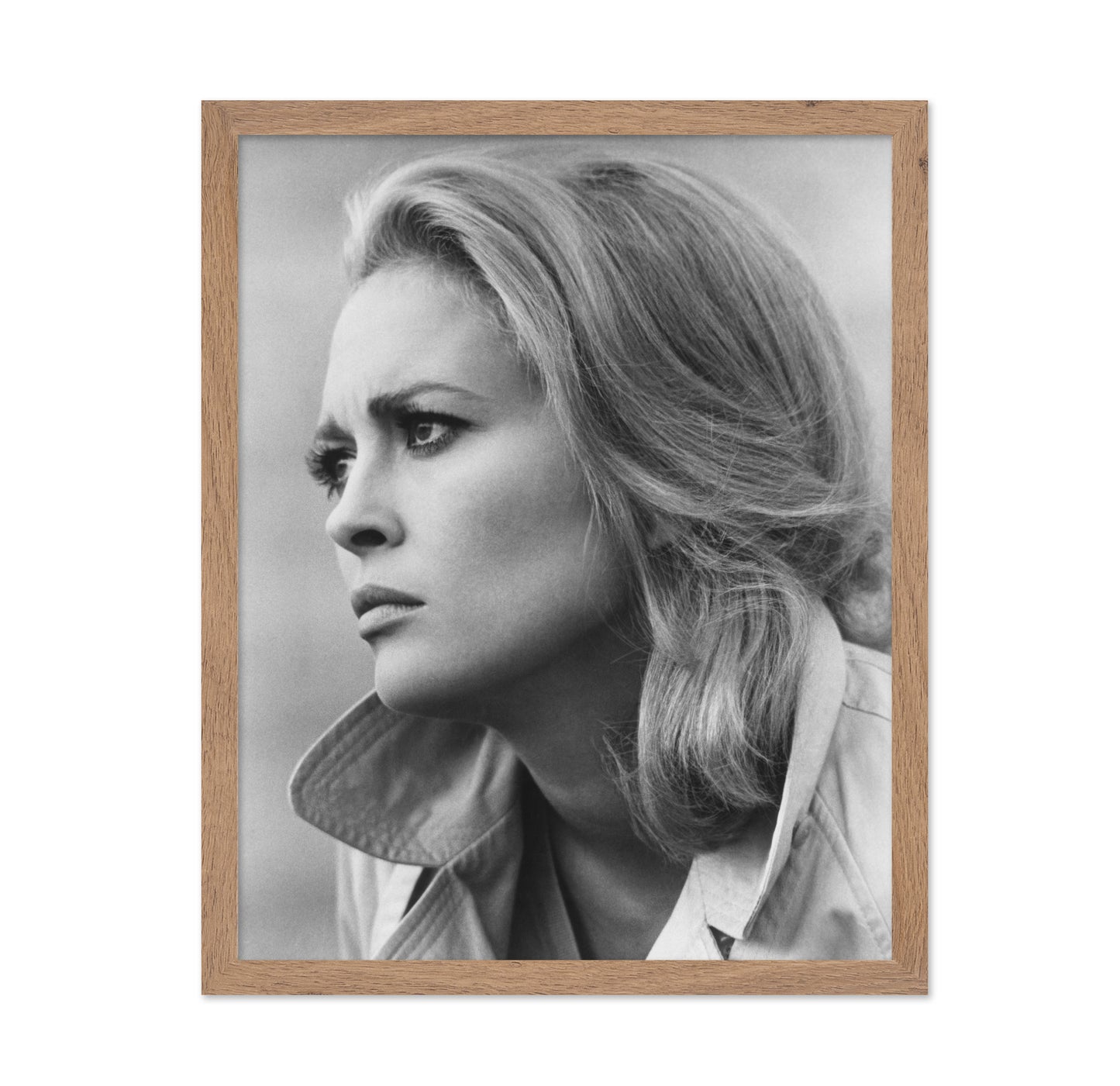 The Arrangement 1969 Faye Dunaway No2