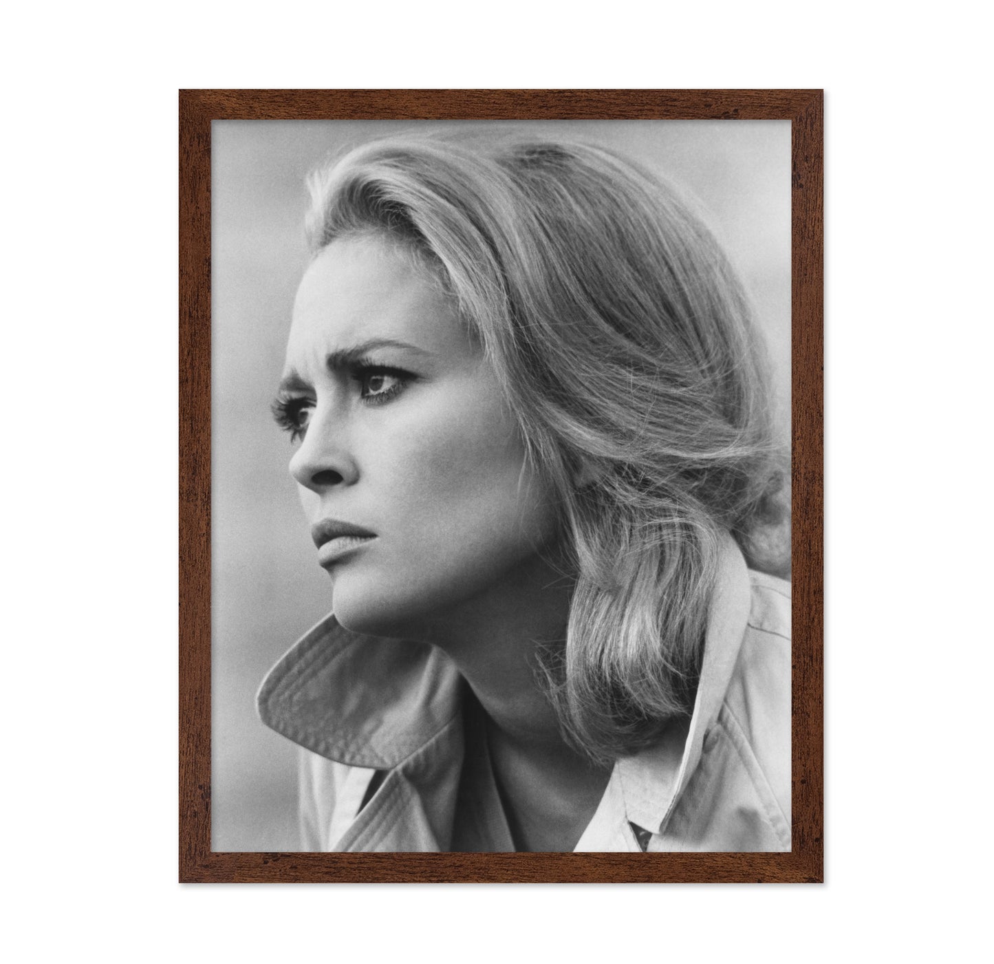 The Arrangement 1969 Faye Dunaway No2