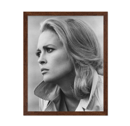 The Arrangement 1969 Faye Dunaway No2