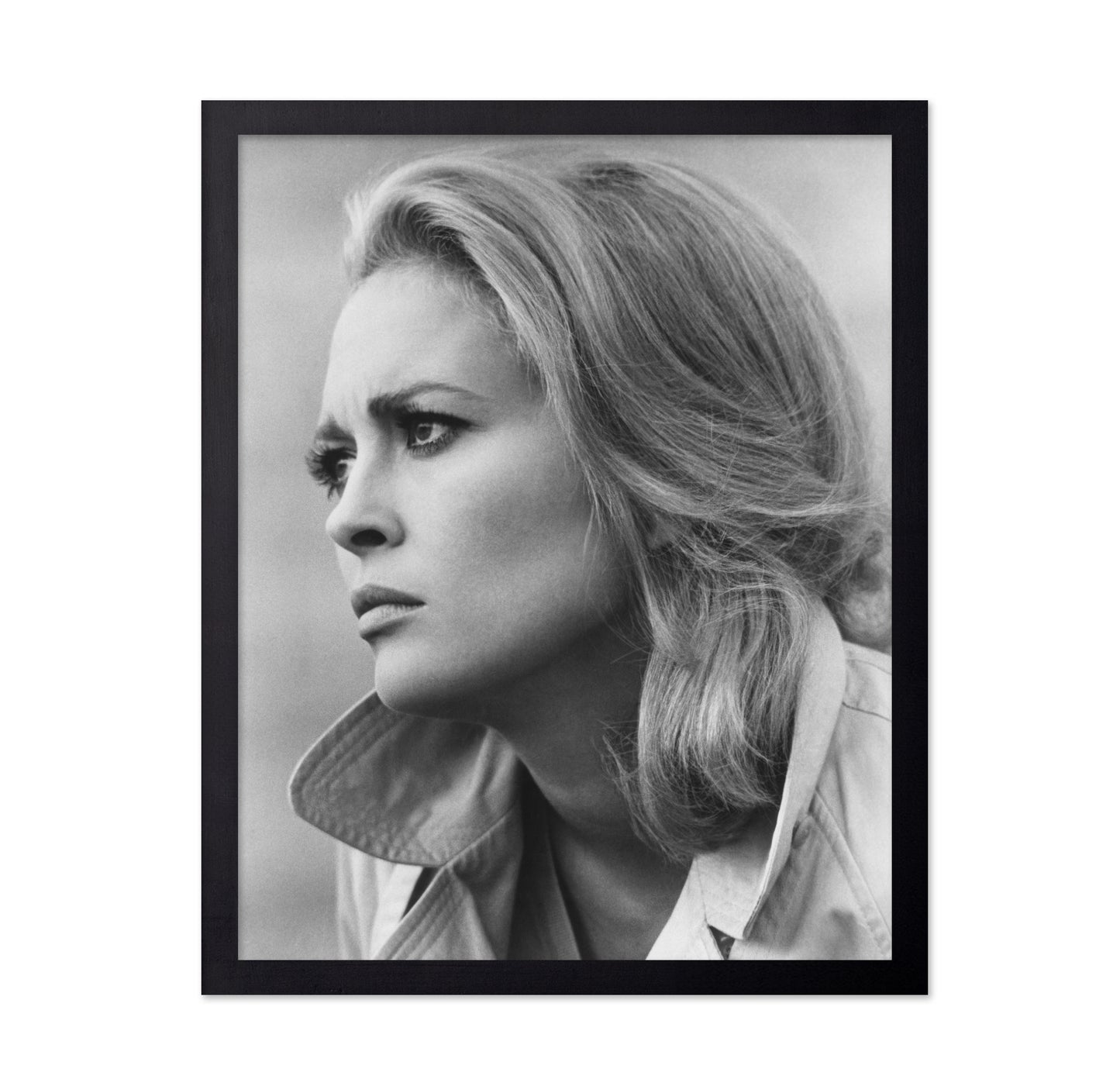 The Arrangement 1969 Faye Dunaway No2