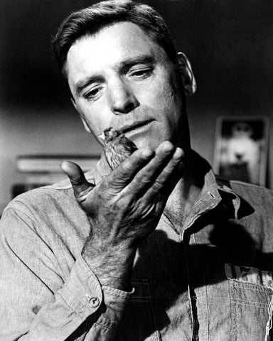 Birdman of Alcatraz 1962 Burt Lancaster No2